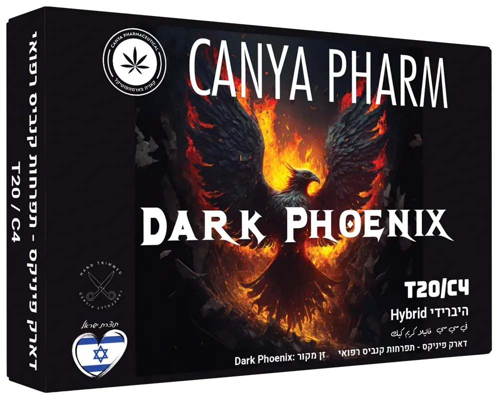 Dark Phoenix box render