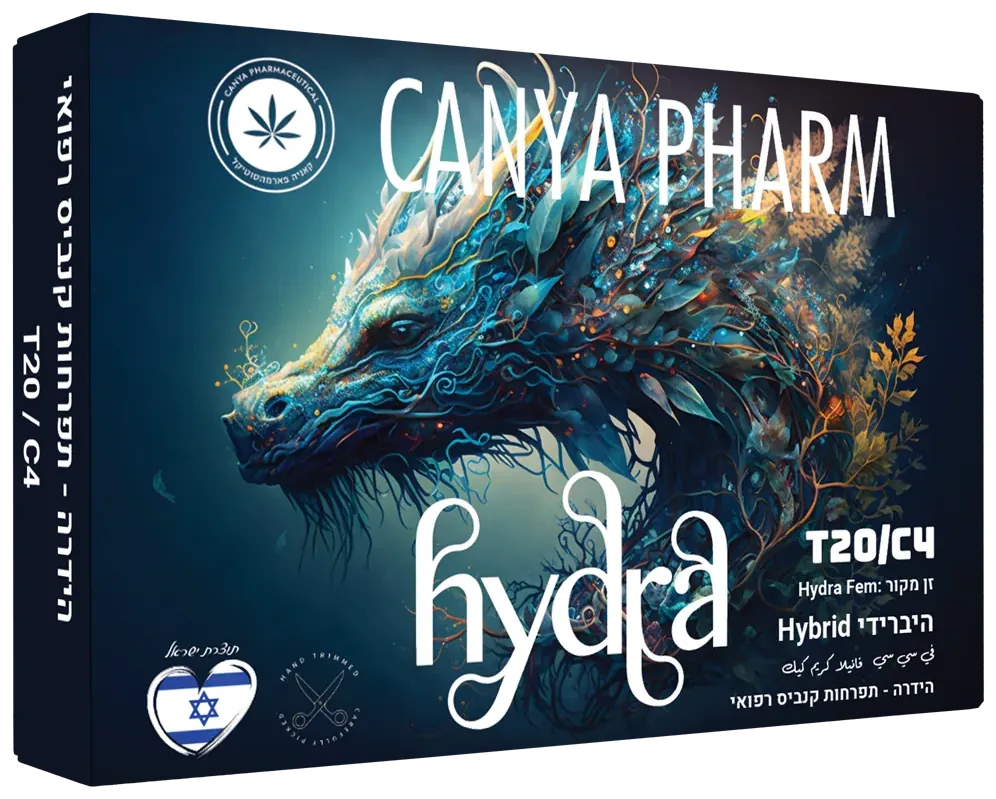 Hydra box render