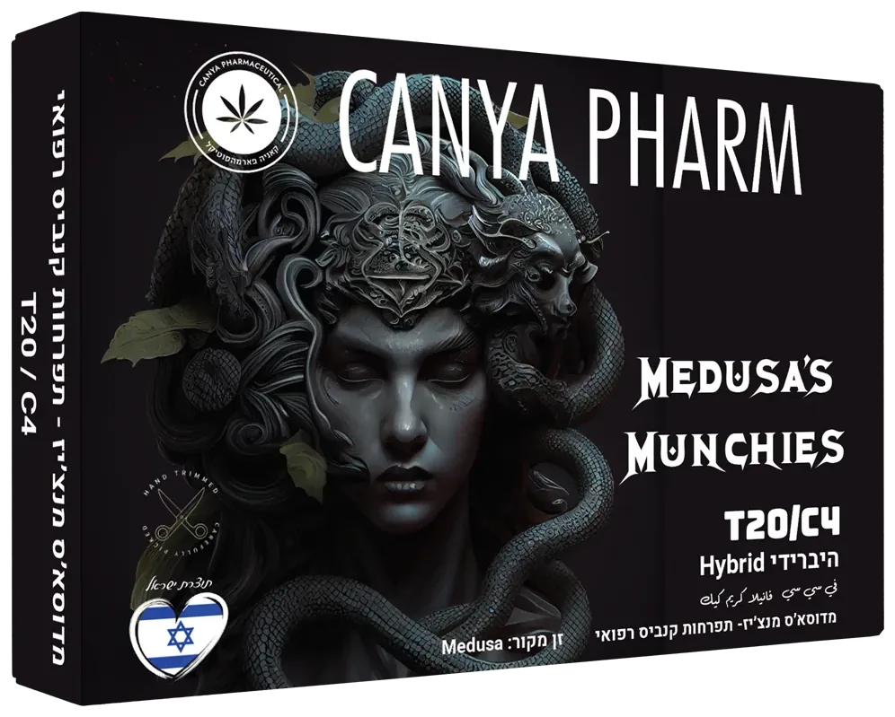 Medusa's Munchies box render